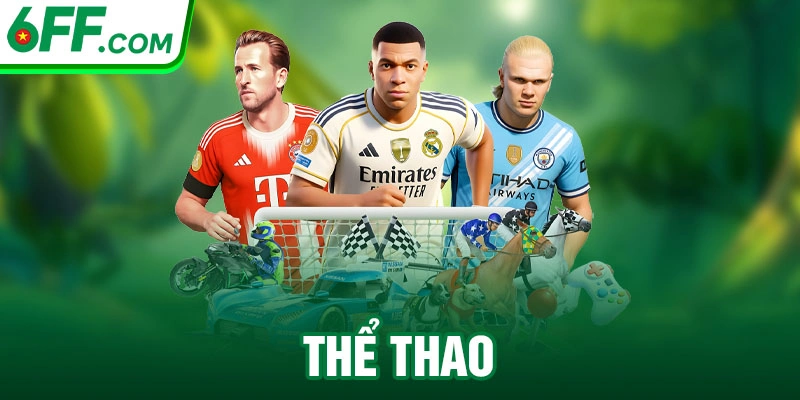 thể thao 6FF